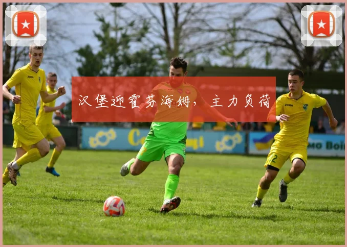 汉堡迎霍芬海姆，主力负荷