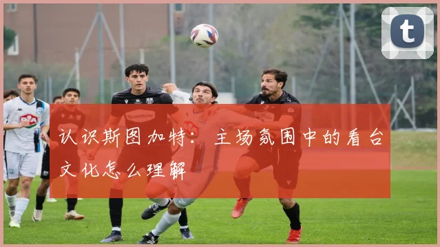 认识斯图加特:主场氛围中的看台文化怎么理解